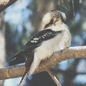 Emma Fleetwood's photo