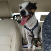 Jordan Neustrom's photo