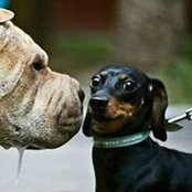 Mathilde Favre's photo