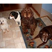 Nancy Snutes's photo
