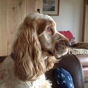 Julie Schofields foto