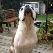 Photo de Michael Koch
