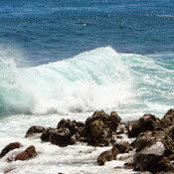 Amy Thompson's photo