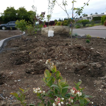 Edible Front Yard