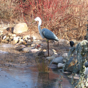 TJB-INC Display Gardens & Ponds - 12 Crestway Hamden