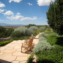 Desert Landscape