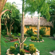 Landscape Ideas