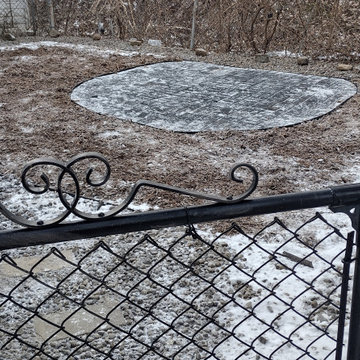 Regina's Dog-Friendly Yard