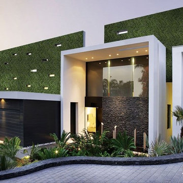 Artificial Ivy