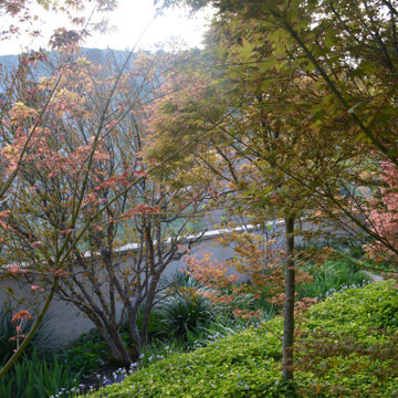 Peaceful and Romantic Residential Landscape design