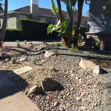 Dry Creek Bed