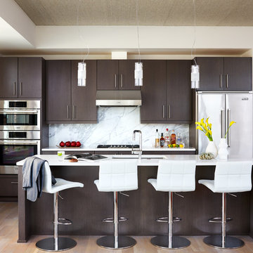 Kalorama Penthouse