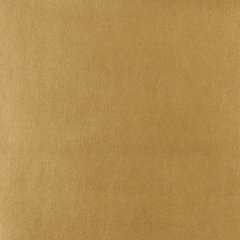 Camel Beige and Brown Distressed Plain Breathable Leather Texture