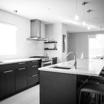 Stylish two storey with in-law suite / Maison élégante à deux étages comportant