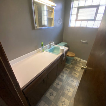 Chicago- Bathroom Remodel