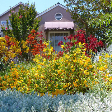 Pollinators Paradise
