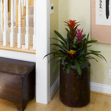 House Plants and pot ideas