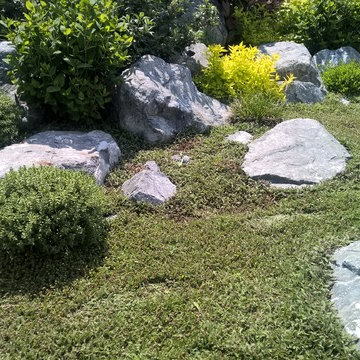 planting, plants, Pflanzungen