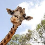 Laura Wachter's photo