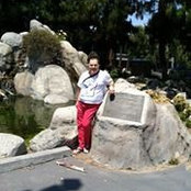 Sue Solomon's photo