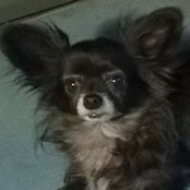 Kristin Beard's photo