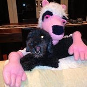 Margot Foley's photo