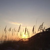 Foto von Mary Weber