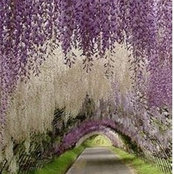 Christin Warme's photo