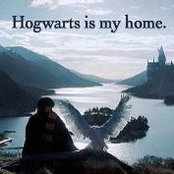 Lita Moog's photo