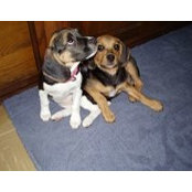 Amanda Wayman's photo