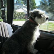 Ida Brinkschroeder's photo