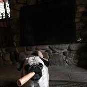 Joanie Boettcher's photo