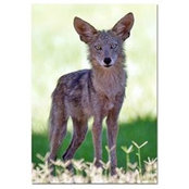 Millar Kelley's photo