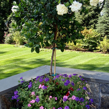 Annual display
