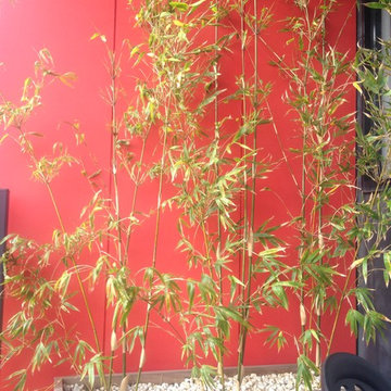 Balcony Gardens