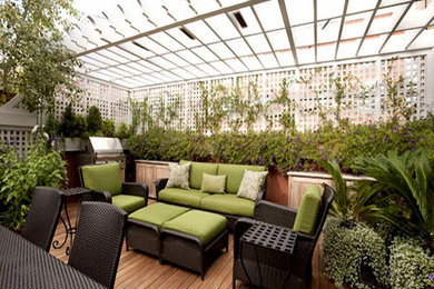 The Allure of Terrace Gardens in India