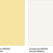Paint colors