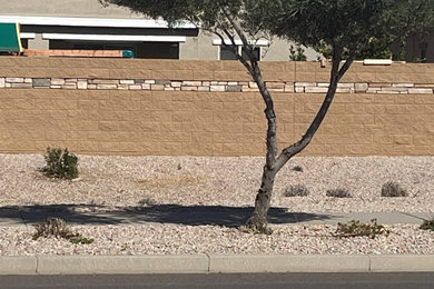 Design ideas for a landscaping in Phoenix.