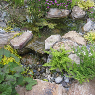 Healing Garden for ASTT (Advocates for survivors of torture & Trauma), Baltimore