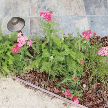 West Los Angeles Lawn Removal Makeover