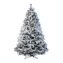 Xmas 2019