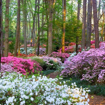 Landscape Gardeners Perth