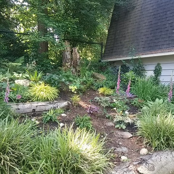 Shade Gardens