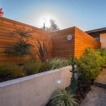 Mid Century Modern Remodel