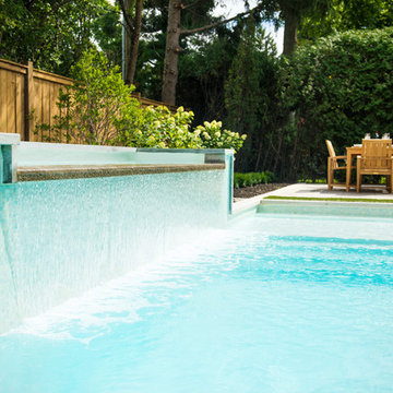 Contemporary backyard in Beaconsfield