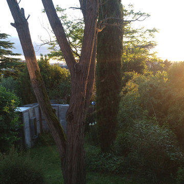 Cabane maison C
