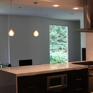 Buckhead Modern Home Remodel