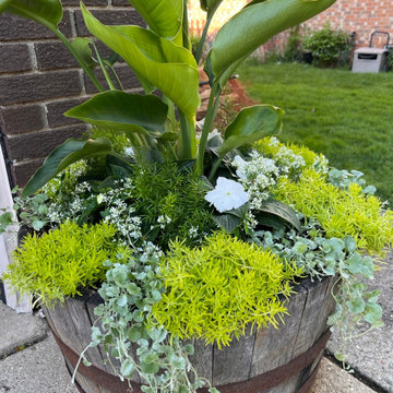 Containers, Pots, Planters & Displays