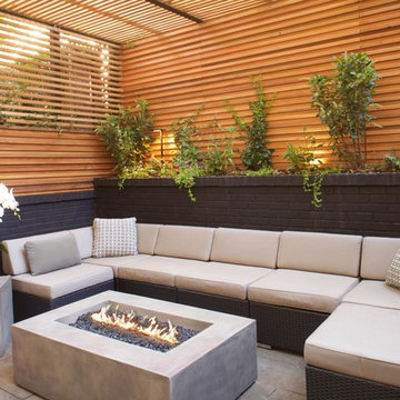 Chelsea Privacy Garden