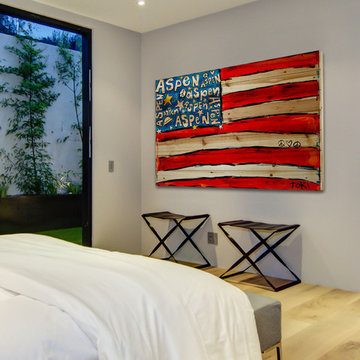 Aspen Flag